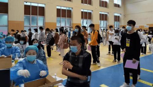 陨星爆料最新消息新闻发布会,最新消息新闻发布会精彩回顾